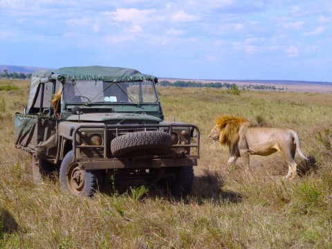 02-DH - Blondie clean copy2