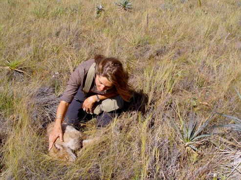 Prehistoric Park shot