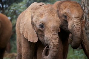 JH_IMG_4161_Sokotei and his new friend