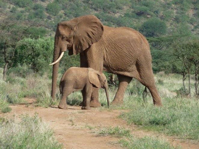 SH_P1060257_Cherie stretching tighter