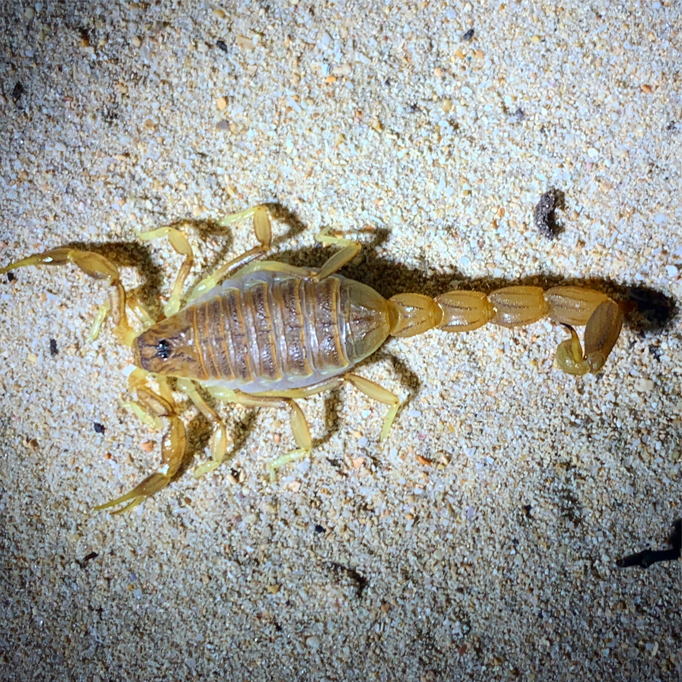 6AD1F80D-2B53-4FF6-BB28-0FA96B051A80