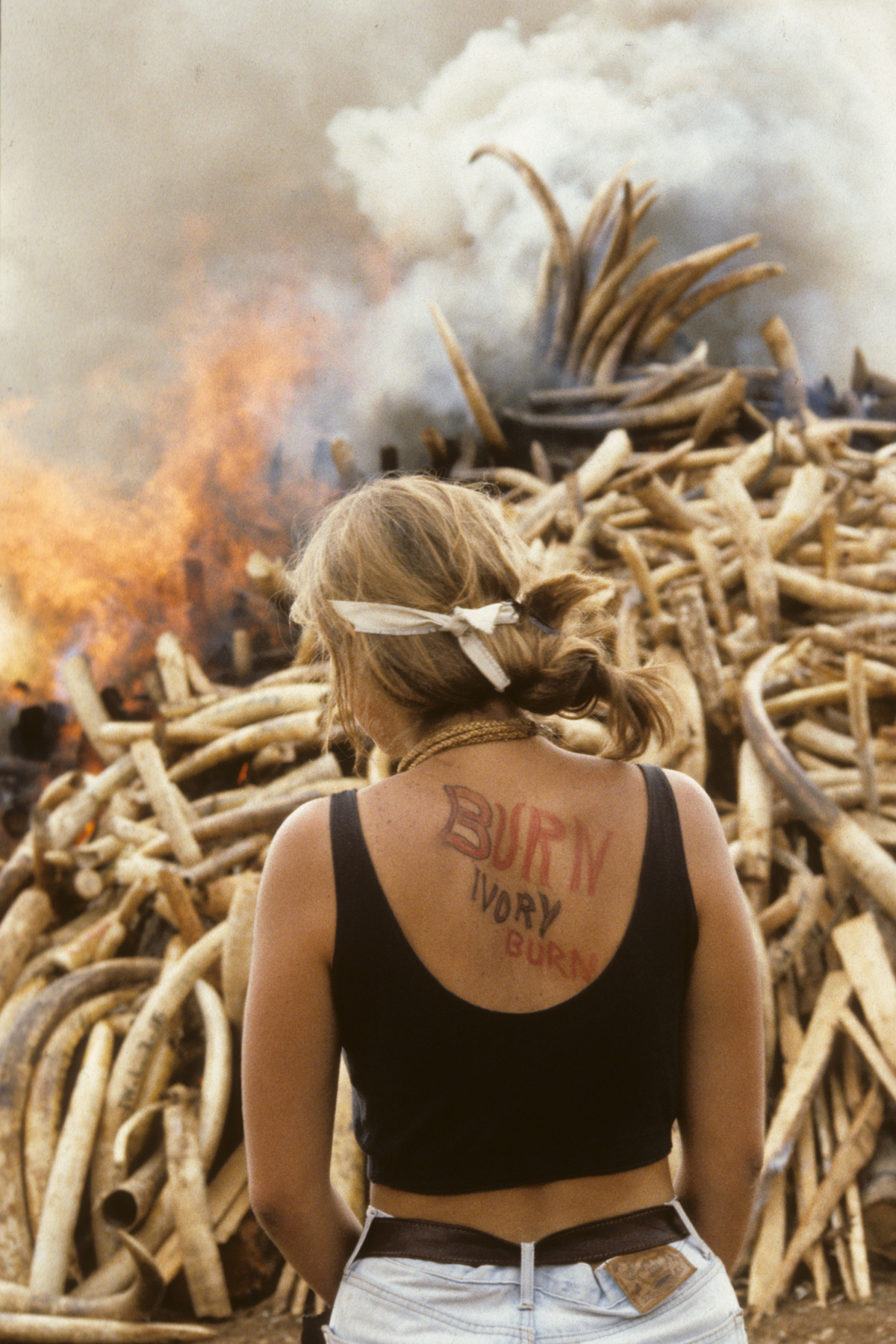 Saba ivory burn - Sl. 06